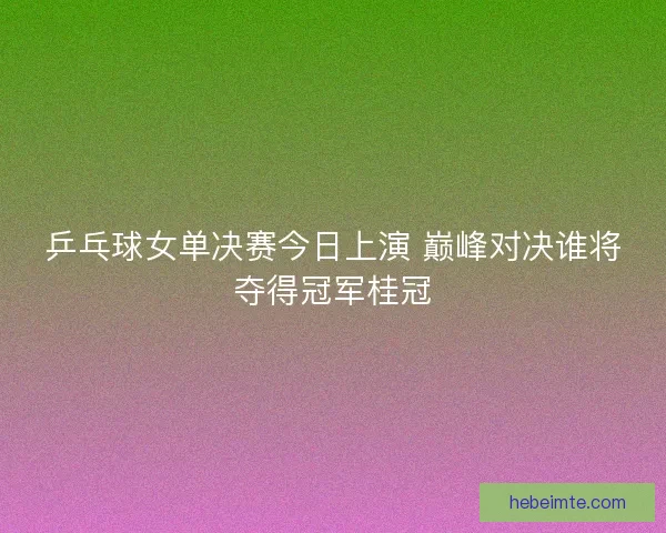 乒乓球女单决赛今日上演 巅峰对决谁将夺得冠军桂冠