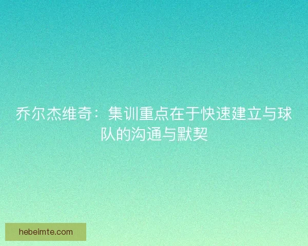 乔尔杰维奇：集训重点在于快速建立与球队的沟通与默契