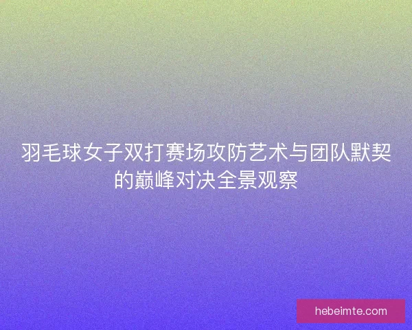 羽毛球女子双打赛场攻防艺术与团队默契的巅峰对决全景观察