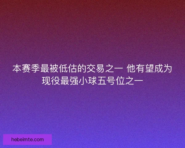 本赛季最被低估的交易之一 他有望成为现役最强小球五号位之一